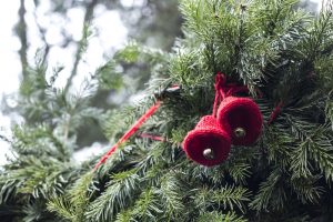 Mehr über den Artikel erfahren Weihnachtsbaumverkauf mit Programm