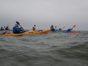 Mehr über den Artikel erfahren 🌊 Mit Seekajak auf Spiekeroog