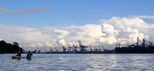 Mehr über den Artikel erfahren Hamburg meine Perle 🌊